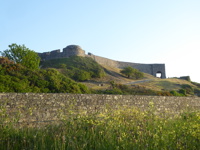 Vale Castle on a grassy hillside, its ramparts and arched gate rising above steep slopes, with wildflowers and greenery in the foreground.