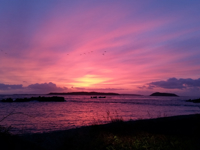 A vivid sunrise over the sea, with brilliant pink and purple clouds illuminating the sky, dark rocky outcrops, and silhouetted islands in the distance.