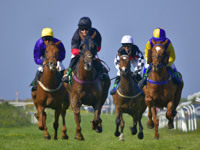 Four jockeys riding horses at full speed during a horse race on grass, all wearing colourful silks and helmets, with green turf and railings visible along the racecourse.