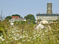 A field of wildflowers and tall grasses with Vale Mill in the background beneath a clear blue sky.